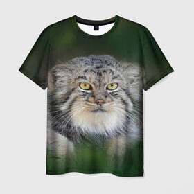Мужская футболка 3D с принтом Манул в Санкт-Петербурге, 100% полиэфир | прямой крой, круглый вырез горловины, длина до линии бедер | всеядный | детеныш | дикие | животные | звери | зверята | кот | манул | медведь | хищник