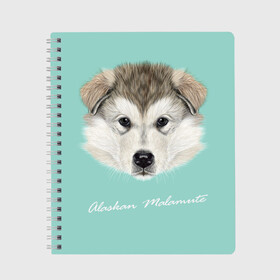 Тетрадь с принтом Alaskan Malamute в Санкт-Петербурге, 100% бумага | 48 листов, плотность листов — 60 г/м2, плотность картонной обложки — 250 г/м2. Листы скреплены сбоку удобной пружинной спиралью. Уголки страниц и обложки скругленные. Цвет линий — светло-серый
 | Тематика изображения на принте: alaskan malamute | dog | puppy | маламут | собака | хаски | щенок
