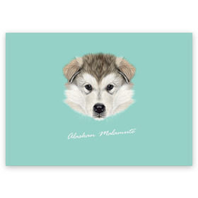 Поздравительная открытка с принтом Alaskan Malamute в Санкт-Петербурге, 100% бумага | плотность бумаги 280 г/м2, матовая, на обратной стороне линовка и место для марки
 | Тематика изображения на принте: alaskan malamute | dog | puppy | маламут | собака | хаски | щенок