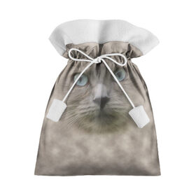 Подарочный 3D мешок с принтом Кошка в Санкт-Петербурге, 100% полиэстер | Размер: 29*39 см | Тематика изображения на принте: глаза | животные | кот | котенок | кошка | мордочка | нос | усы