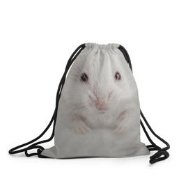 Рюкзак-мешок 3D с принтом Крыса в Санкт-Петербурге, 100% полиэстер | плотность ткани — 200 г/м2, размер — 35 х 45 см; лямки — толстые шнурки, застежка на шнуровке, без карманов и подкладки | животные | крыса | мордочка | мышка | мышь | природа