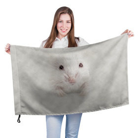 Флаг 3D с принтом Крыса в Санкт-Петербурге, 100% полиэстер | плотность ткани — 95 г/м2, размер — 67 х 109 см. Принт наносится с одной стороны | животные | крыса | мордочка | мышка | мышь | природа