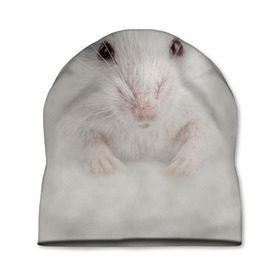 Шапка 3D с принтом Крыса в Санкт-Петербурге, 100% полиэстер | универсальный размер, печать по всей поверхности изделия | животные | крыса | мордочка | мышка | мышь | природа