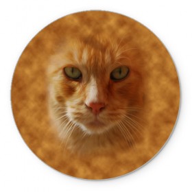 Коврик круглый с принтом Рыжий котик в Санкт-Петербурге, резина и полиэстер | круглая форма, изображение наносится на всю лицевую часть | животные | кот | котенок | котик | кошка | мордочка | рыжий