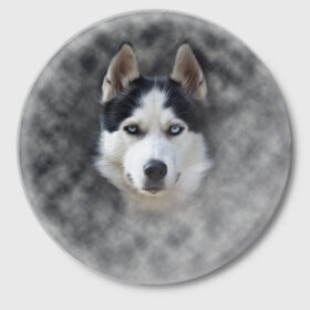 Значок с принтом Хаска в Санкт-Петербурге,  металл | круглая форма, металлическая застежка в виде булавки | мордочка | пес | собака | хаска | щенок