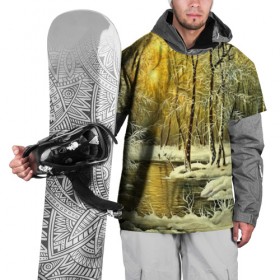 Накидка на куртку 3D с принтом Сказочная зима в Санкт-Петербурге, 100% полиэстер |  | верхушки | вершины | горы | ели | ёлки | ёлочки | зима | красота | лес | небо | облака | пасмурно | пейзаж | сказка | сказочно | снег | сугробы | тени | тучи | холмы | чудесно