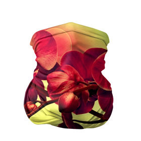 Бандана-труба 3D с принтом Орхидеи в Санкт-Петербурге, 100% полиэстер, ткань с особыми свойствами — Activecool | плотность 150‒180 г/м2; хорошо тянется, но сохраняет форму | Тематика изображения на принте: 
