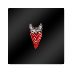 Магнит виниловый Квадрат с принтом Котомафия в Санкт-Петербурге, полимерный материал с магнитным слоем | размер 9*9 см, закругленные углы | бандана | гангстер | кот | котик | кошка | мафия