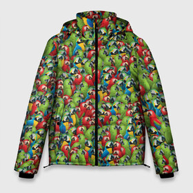 Мужская зимняя куртка 3D с принтом Попугаи в Санкт-Петербурге, верх — 100% полиэстер; подкладка — 100% полиэстер; утеплитель — 100% полиэстер | длина ниже бедра, свободный силуэт Оверсайз. Есть воротник-стойка, отстегивающийся капюшон и ветрозащитная планка. 

Боковые карманы с листочкой на кнопках и внутренний карман на молнии. | Тематика изображения на принте: ара | животные | паттрен | попугай | птицы | птички | текстура | тропики