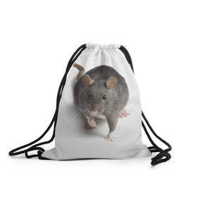 Рюкзак-мешок 3D с принтом Крыса в Санкт-Петербурге, 100% полиэстер | плотность ткани — 200 г/м2, размер — 35 х 45 см; лямки — толстые шнурки, застежка на шнуровке, без карманов и подкладки | животные | крыса | мышка | мышь
