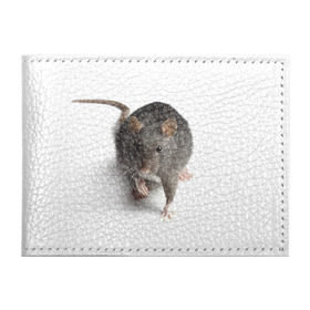 Обложка для студенческого билета с принтом Крыса в Санкт-Петербурге, натуральная кожа | Размер: 11*8 см; Печать на всей внешней стороне | животные | крыса | мышка | мышь