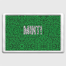 Магнит 45*70 с принтом Mint - Мята в Санкт-Петербурге, Пластик | Размер: 78*52 мм; Размер печати: 70*45 | 420 | buds | mint | зеленый | зелень | листья | мята | мятный | природа | раста | растаман | текстура | узор | шишки