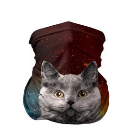Бандана-труба 3D с принтом Кот в космосе! в Санкт-Петербурге, 100% полиэстер, ткань с особыми свойствами — Activecool | плотность 150‒180 г/м2; хорошо тянется, но сохраняет форму | 3d | cat | арт | взгляд | вселенная | звезды | земля | космос | кот | кот хипстер | котёнок | котятки | котятушки | кошечки | кошка | мордочка | плеяды | пространство | созвездие