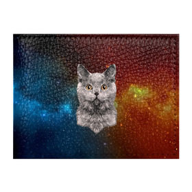 Обложка для студенческого билета с принтом Кот в космосе! в Санкт-Петербурге, натуральная кожа | Размер: 11*8 см; Печать на всей внешней стороне | Тематика изображения на принте: 3d | cat | арт | взгляд | вселенная | звезды | земля | космос | кот | кот хипстер | котёнок | котятки | котятушки | кошечки | кошка | мордочка | плеяды | пространство | созвездие