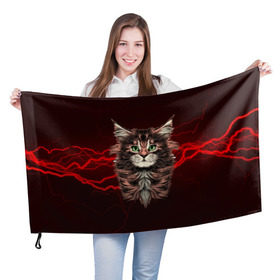 Флаг 3D с принтом Electro cat в Санкт-Петербурге, 100% полиэстер | плотность ткани — 95 г/м2, размер — 67 х 109 см. Принт наносится с одной стороны | cat | взгляд | кот | кот хипстер | котёнок | котятки | кошка | молния | мордочка | разряд | электричество