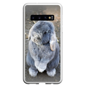 Чехол для Samsung Galaxy S10 с принтом Кролик в Санкт-Петербурге, Силикон | Область печати: задняя сторона чехла, без боковых панелей | Тематика изображения на принте: грызун | животные | заяц | кролик | мордочка | природа | пушистый | уши