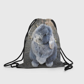 Рюкзак-мешок 3D с принтом Кролик в Санкт-Петербурге, 100% полиэстер | плотность ткани — 200 г/м2, размер — 35 х 45 см; лямки — толстые шнурки, застежка на шнуровке, без карманов и подкладки | грызун | животные | заяц | кролик | мордочка | природа | пушистый | уши