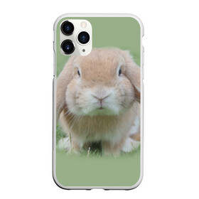 Чехол для iPhone 11 Pro Max матовый с принтом Кролик в Санкт-Петербурге, Силикон |  | грызун | животные | заяц | кролик | мордочка | природа | пушистый | уши