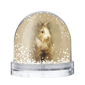 Водяной шар с принтом Кролик в Санкт-Петербурге, Пластик | Изображение внутри шара печатается на глянцевой фотобумаге с двух сторон | Тематика изображения на принте: грызун | животные | заяц | кролик | мордочка | природа | пушистый | уши