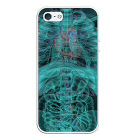 Чехол для iPhone 5/5S матовый с принтом рентген человека в Санкт-Петербурге, Силикон | Область печати: задняя сторона чехла, без боковых панелей | кости | органы | рентген | человек