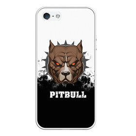 Чехол для iPhone 5/5S матовый с принтом Pitbull в Санкт-Петербурге, Силикон | Область печати: задняя сторона чехла, без боковых панелей | 3d | dog | pitbull | абстракция | животные | краска | собака | черно белый