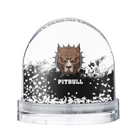 Снежный шар с принтом Pitbull в Санкт-Петербурге, Пластик | Изображение внутри шара печатается на глянцевой фотобумаге с двух сторон | 3d | dog | pitbull | абстракция | животные | краска | собака | черно белый