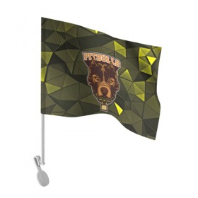 Флаг для автомобиля с принтом Pitbulls в Санкт-Петербурге, 100% полиэстер | Размер: 30*21 см | dog | pitbulls | абстракция | геометрия | животные | собака | треугольники | цепь