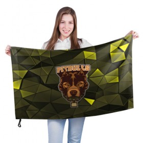 Флаг 3D с принтом Pitbulls в Санкт-Петербурге, 100% полиэстер | плотность ткани — 95 г/м2, размер — 67 х 109 см. Принт наносится с одной стороны | dog | pitbulls | абстракция | геометрия | животные | собака | треугольники | цепь