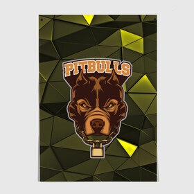 Постер с принтом Pitbulls в Санкт-Петербурге, 100% бумага
 | бумага, плотность 150 мг. Матовая, но за счет высокого коэффициента гладкости имеет небольшой блеск и дает на свету блики, но в отличии от глянцевой бумаги не покрыта лаком | dog | pitbulls | абстракция | геометрия | животные | собака | треугольники | цепь