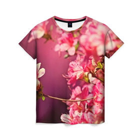 Женская футболка 3D с принтом Сакура в Санкт-Петербурге, 100% полиэфир ( синтетическое хлопкоподобное полотно) | прямой крой, круглый вырез горловины, длина до линии бедер | 3d | flower | nature | pink | sakura | весна | деревья | природа | розовый | сакура | цветы | япония