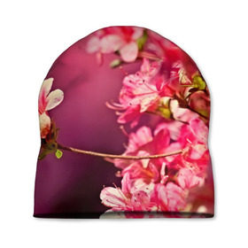 Шапка 3D с принтом Сакура в Санкт-Петербурге, 100% полиэстер | универсальный размер, печать по всей поверхности изделия | 3d | flower | nature | pink | sakura | весна | деревья | природа | розовый | сакура | цветы | япония