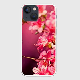 Чехол для iPhone 13 mini с принтом Сакура в Санкт-Петербурге,  |  | 3d | flower | nature | pink | sakura | весна | деревья | природа | розовый | сакура | цветы | япония