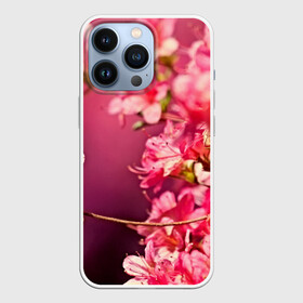 Чехол для iPhone 13 Pro с принтом Сакура в Санкт-Петербурге,  |  | 3d | flower | nature | pink | sakura | весна | деревья | природа | розовый | сакура | цветы | япония