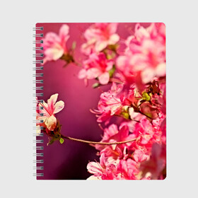 Тетрадь с принтом Сакура в Санкт-Петербурге, 100% бумага | 48 листов, плотность листов — 60 г/м2, плотность картонной обложки — 250 г/м2. Листы скреплены сбоку удобной пружинной спиралью. Уголки страниц и обложки скругленные. Цвет линий — светло-серый
 | 3d | flower | nature | pink | sakura | весна | деревья | природа | розовый | сакура | цветы | япония