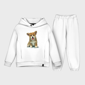 Детский костюм хлопок Oversize с принтом Коржик в Санкт-Петербурге,  |  | corgi | dog | korgi | вельш корги | дог | кардиган | корги | пемброк | собака | щенок