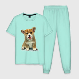 Мужская пижама хлопок с принтом Коржик в Санкт-Петербурге, 100% хлопок | брюки и футболка прямого кроя, без карманов, на брюках мягкая резинка на поясе и по низу штанин
 | corgi | dog | korgi | вельш корги | дог | кардиган | корги | пемброк | собака | щенок