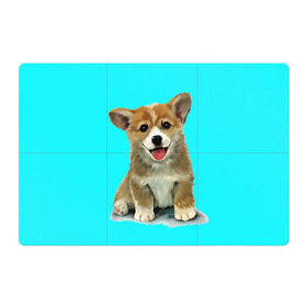 Магнитный плакат 3Х2 с принтом Корги в Санкт-Петербурге, Полимерный материал с магнитным слоем | 6 деталей размером 9*9 см | Тематика изображения на принте: corgy | dog | korgi | puppy | вельш корги | кардиган | коржик | пемброк | собака | щенок