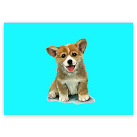 Поздравительная открытка с принтом Корги в Санкт-Петербурге, 100% бумага | плотность бумаги 280 г/м2, матовая, на обратной стороне линовка и место для марки
 | Тематика изображения на принте: corgy | dog | korgi | puppy | вельш корги | кардиган | коржик | пемброк | собака | щенок