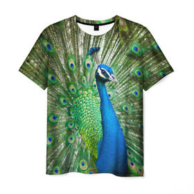 Мужская футболка 3D с принтом Павлин в Санкт-Петербурге, 100% полиэфир | прямой крой, круглый вырез горловины, длина до линии бедер | павлин | перо