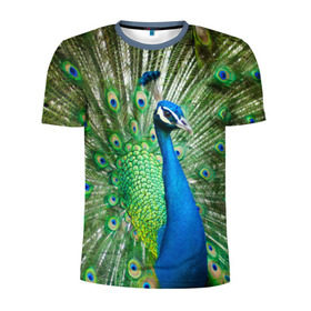 Мужская футболка 3D спортивная с принтом Павлин в Санкт-Петербурге, 100% полиэстер с улучшенными характеристиками | приталенный силуэт, круглая горловина, широкие плечи, сужается к линии бедра | павлин | перо