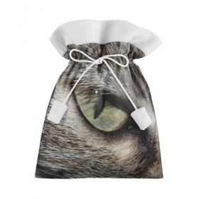 Подарочный 3D мешок с принтом Кошачий глаз в Санкт-Петербурге, 100% полиэстер | Размер: 29*39 см | Тематика изображения на принте: 