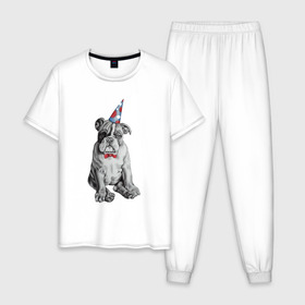 Мужская пижама хлопок с принтом праздничный бульдог в Санкт-Петербурге, 100% хлопок | брюки и футболка прямого кроя, без карманов, на брюках мягкая резинка на поясе и по низу штанин
 | dog | happy | бабочка | бульдог | день рождение | дог | собака