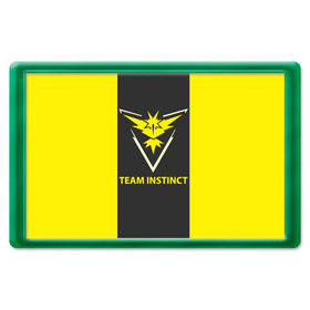 Магнит 45*70 с принтом Team instinct в Санкт-Петербурге, Пластик | Размер: 78*52 мм; Размер печати: 70*45 | game | игра | игрок | инстинкт | пикачу | покемон