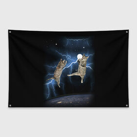 Флаг-баннер с принтом Cat 8 в Санкт-Петербурге, 100% полиэстер | размер 67 х 109 см, плотность ткани — 95 г/м2; по краям флага есть четыре люверса для крепления | cat