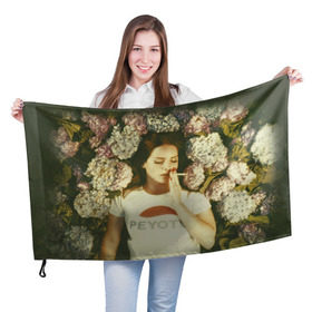 Флаг 3D с принтом Lana Del Rey в Санкт-Петербурге, 100% полиэстер | плотность ткани — 95 г/м2, размер — 67 х 109 см. Принт наносится с одной стороны | lana del rey | лана дель рей