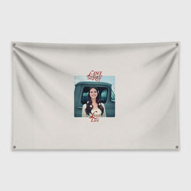 Флаг-баннер с принтом Lana Del Rey в Санкт-Петербурге, 100% полиэстер | размер 67 х 109 см, плотность ткани — 95 г/м2; по краям флага есть четыре люверса для крепления | lana del rey | лана дель рей