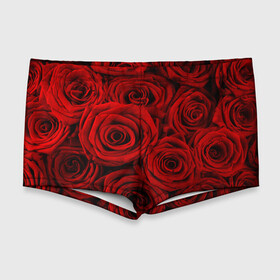 Мужские купальные плавки 3D с принтом Красные розы в Санкт-Петербурге, Полиэстер 85%, Спандекс 15% |  | Тематика изображения на принте: букет | красный | розы | цветы