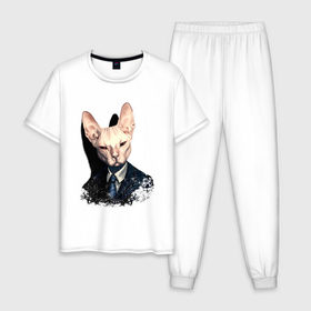Мужская пижама хлопок с принтом Сфинкс в Санкт-Петербурге, 100% хлопок | брюки и футболка прямого кроя, без карманов, на брюках мягкая резинка на поясе и по низу штанин
 | Тематика изображения на принте: кот | лысый кот