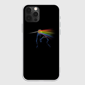 Чехол для iPhone 12 Pro Max с принтом Pink Floyd Cookie Monster в Санкт-Петербурге, Силикон |  | Тематика изображения на принте: монстр | печеньки | улица сезам