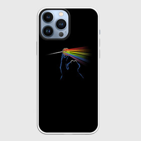 Чехол для iPhone 13 Pro Max с принтом Pink Floyd Cookie Monster в Санкт-Петербурге,  |  | монстр | печеньки | улица сезам